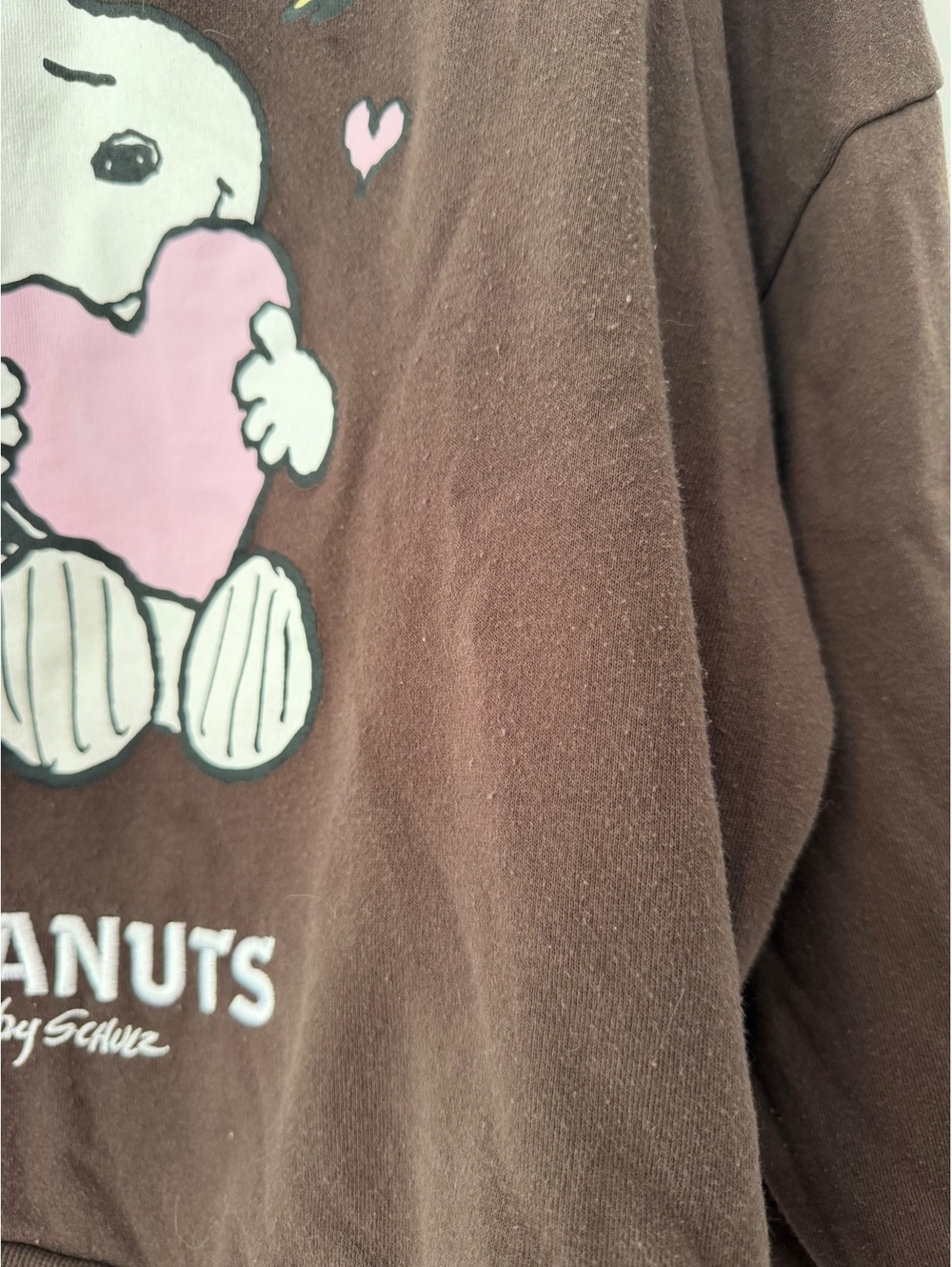Peanuts by Schulz Brown Crewneck Sweatshirt with Snoopy and Woodstock Heartprint - Picture 6 of 7